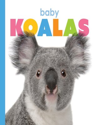 cover image of Baby Koalas